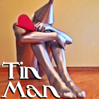 Tin Man - Full Cover cover